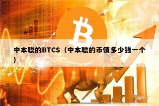 中本聪的BTCS（中本聪的币值多少钱一个）
